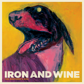 White Tooth Man by Iron & Wine