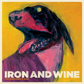 Iron and Wine: The Shepherd's Dog