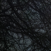 Suddenly We Lost Everything