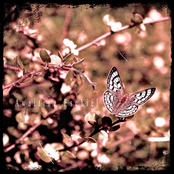 Awaiting Eschiel - Single