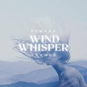 Wind Whisper