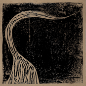 Summer Passes / Evidence Of Fractures