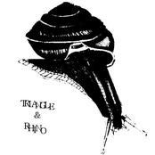 The Anti Horse Cabal