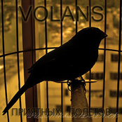 Приятных полетов