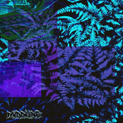 This I Know for Certain