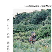 Días En Casa - Single