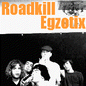 roadkill egzotix