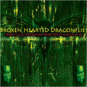 Brokenhearted Dragonflies