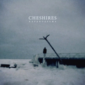 Кардиодрама