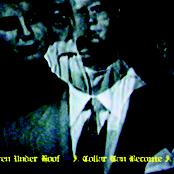 A Collar Can Become A Noose