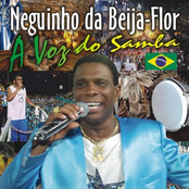 Neguinho Da Beija Flor