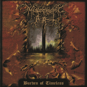 Burden Of Timeless