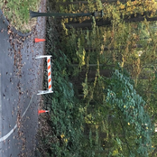 I Didn't Think I Would Get This Far