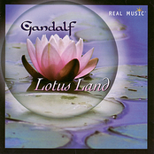 The Lotus Unfolds by Gandalf