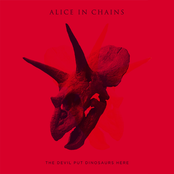 Phantom Limb by Alice In Chains