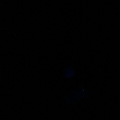 photos dans le noir.｡.:*☆