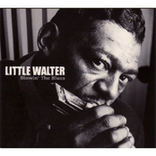 I Love You So by Little Walter