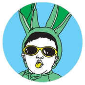 Down The Rabbit Hole