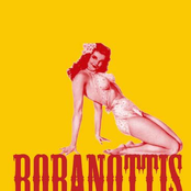 Robanottis