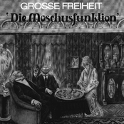 Die Moschusfunktion 12''