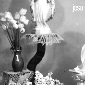 Everyday I Get Closer To The Light From Which I Came