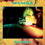 Hyvästi by Mamba