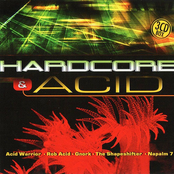 Hardcore & Acid