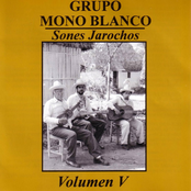 Sones Jarochos. Vol. V