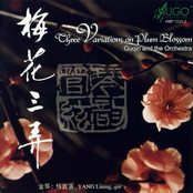 Three Variations on Plum Blossom