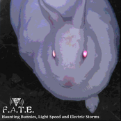 Haunting Bunnies, Light Speed and Electric Storms