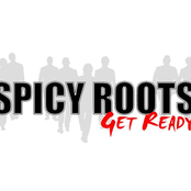 Get Ready by Spicy Roots