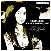 Rootbound by Orgue Electronique