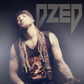 dzed