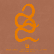 Fool For Love (Chris Lake Edit)
