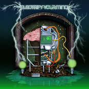 Electrify Your Mind