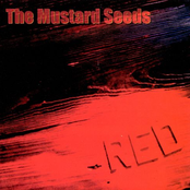 Sylvia Beams by The Mustard Seeds