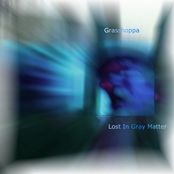lost in gray matter lp