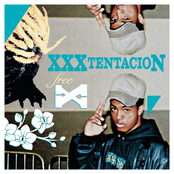 FREE X Album Picture