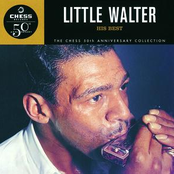 You're So Fine by Little Walter