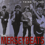 Nur Unsere Liebe Zählt by The Merseybeats