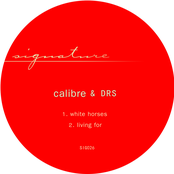 white horses / living for