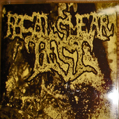 A Dysentery Of Pleasures