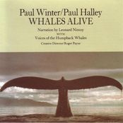 Whales Alive!