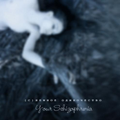 [c]нежное одиночество