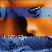 The Disappearing Act by Red Animal War