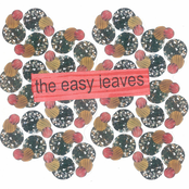 The Easy Leaves (Debut)