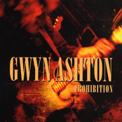 Castaway by Gwyn Ashton