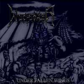 Under Fallen Wings