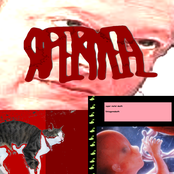FETUSMURDERGOREDEATH