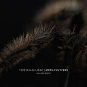 Moth Flutters (Kalaido Remix)